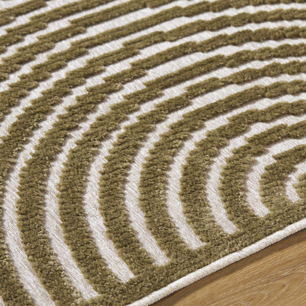 Close-up of a green and white patterned rug on a wooden floor
