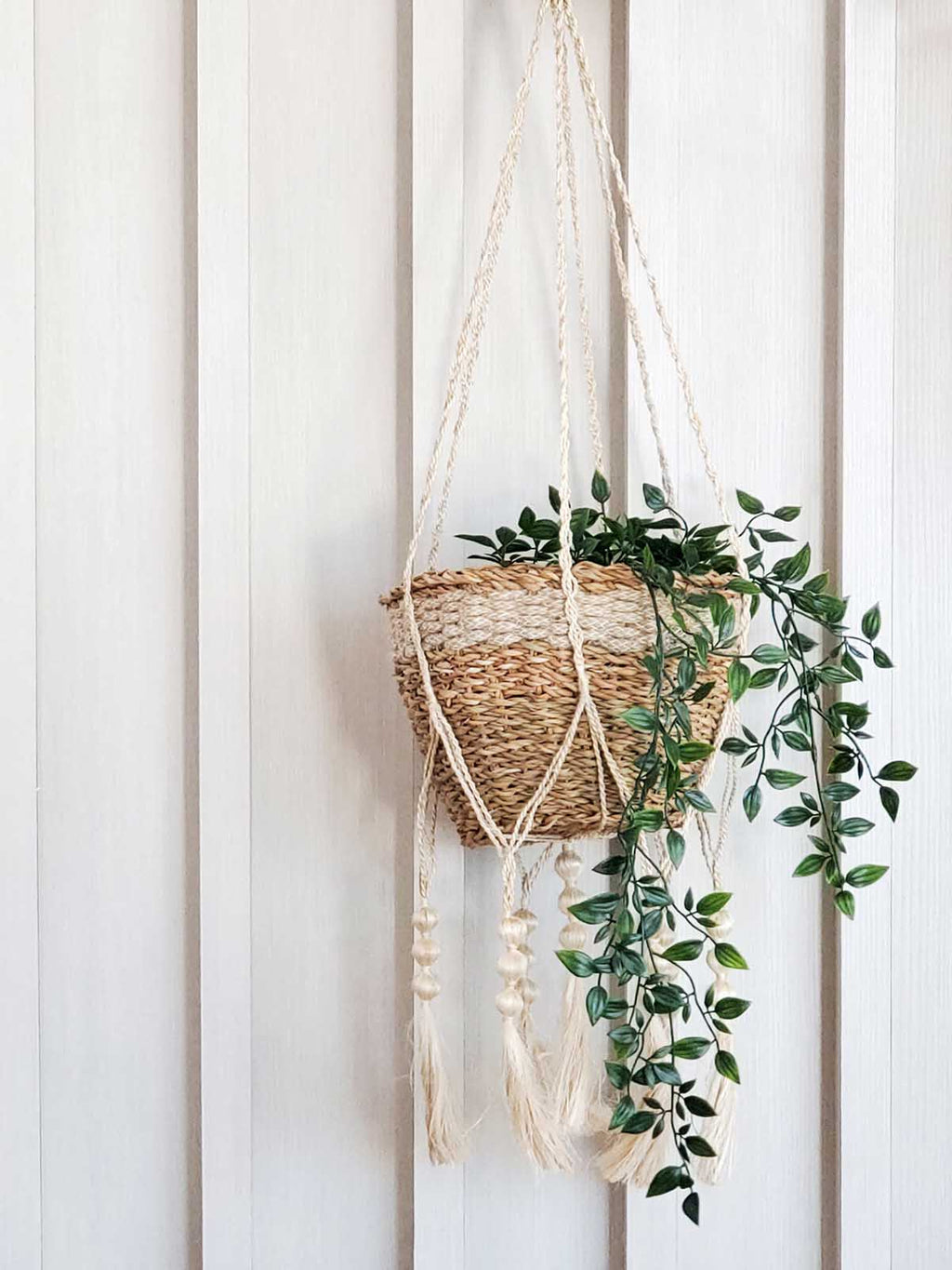 Macrame plant hanger with a woven basket and green plant against a white wooden panel background