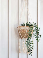 Macrame plant hanger with a woven basket and green plant against a white wooden panel background