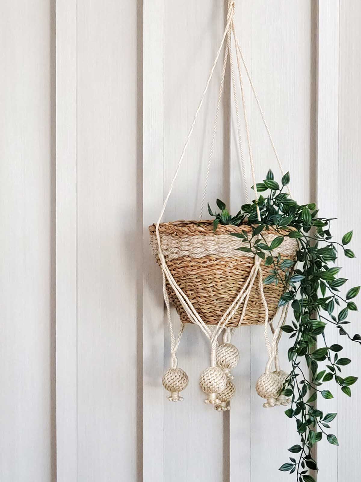 Hanging wicker basket with macrame strings and green plant against a white wooden panel background