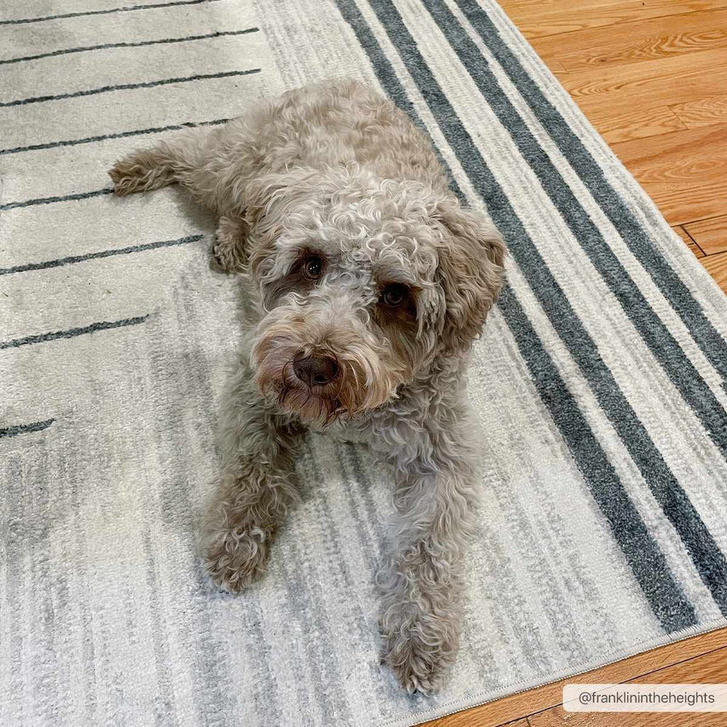 Tapis Thad lavable gris moyen