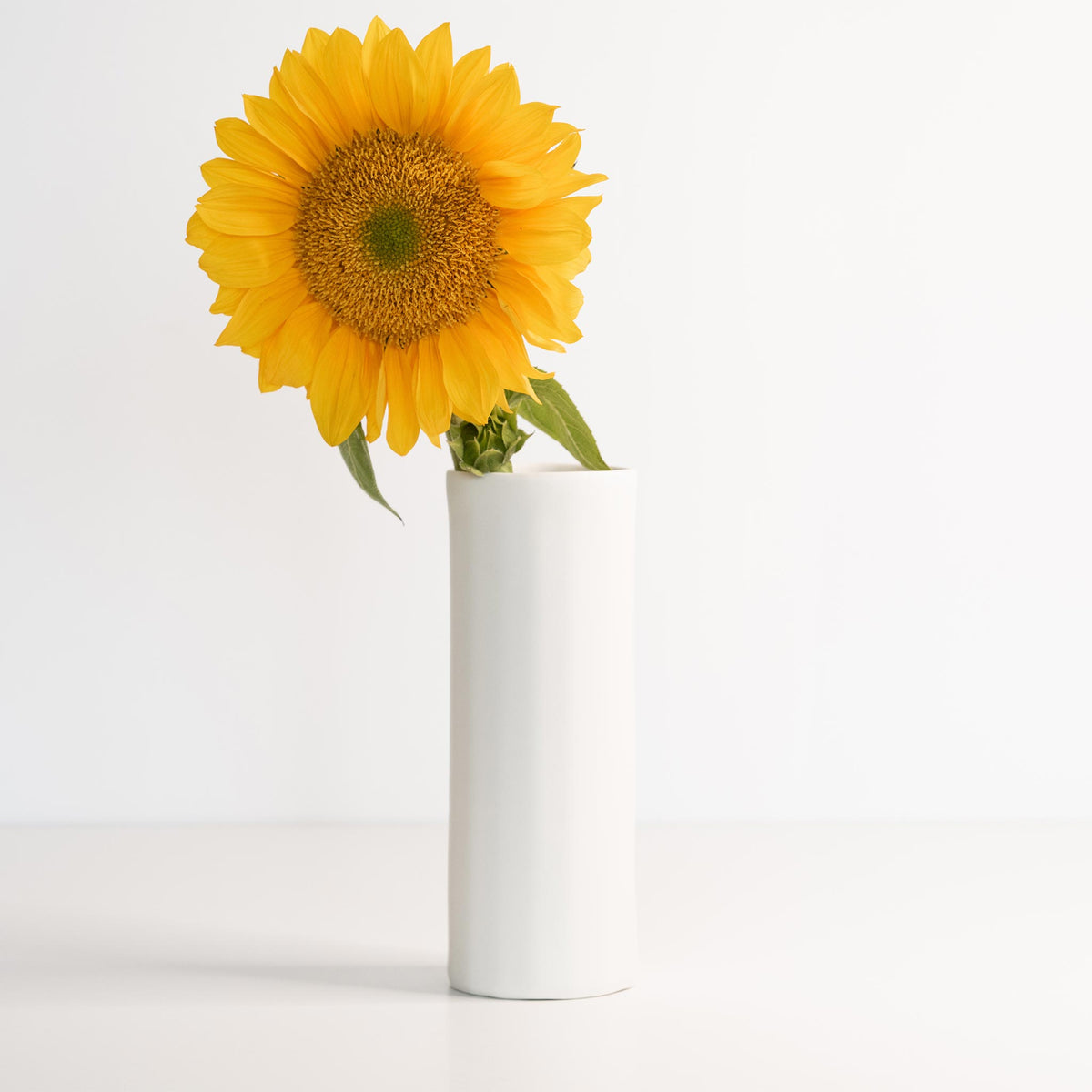 Sunflower in a white vase on a light gray background