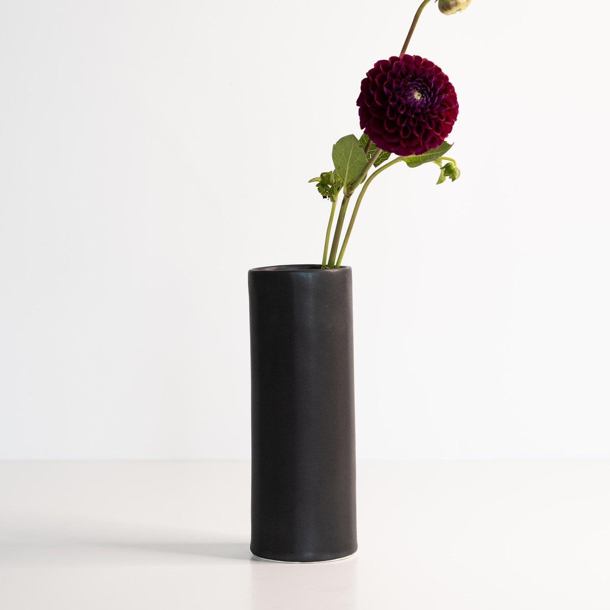 Black cylindrical vase with a single dark purple flower on a white background