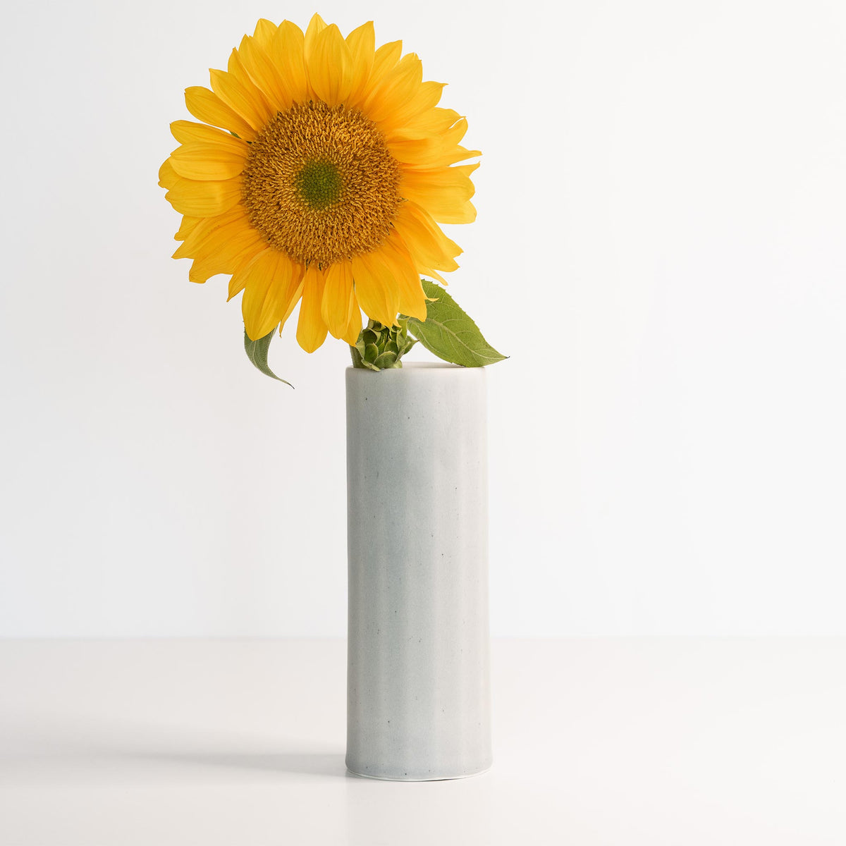 Sunflower in a white vase on a light gray background