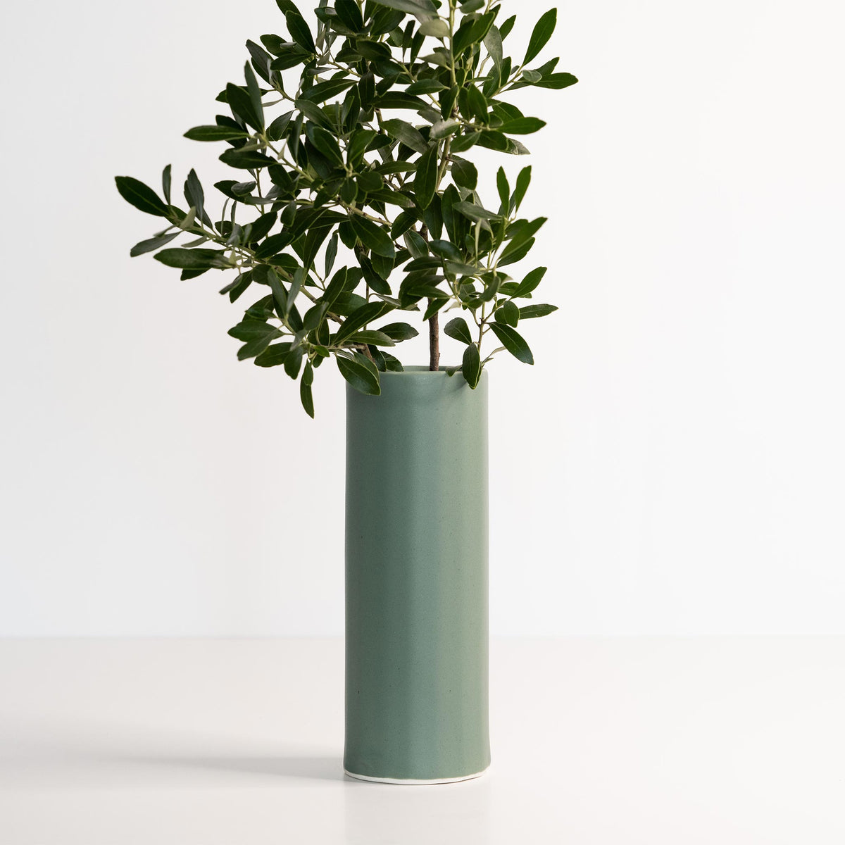 Green vase with a plant on a white background