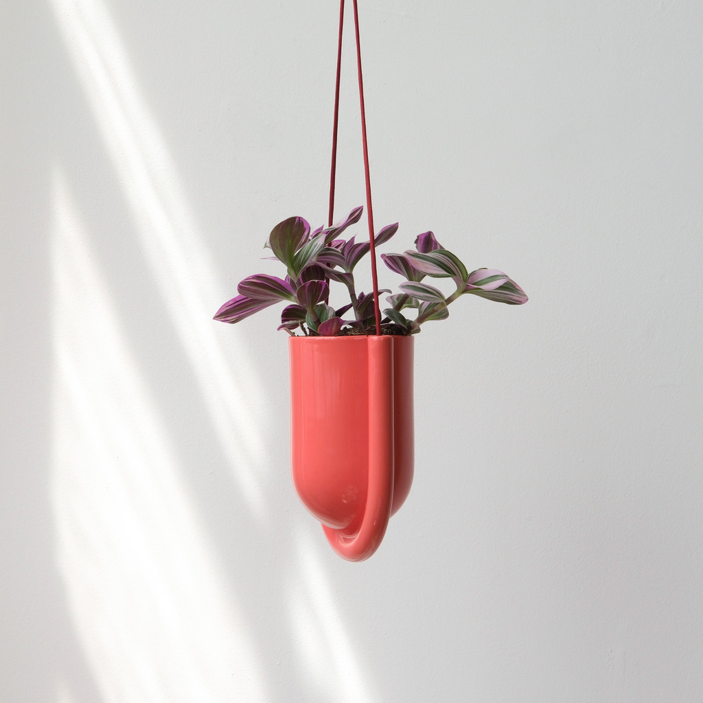 Red hanging planter with a plant on a white background