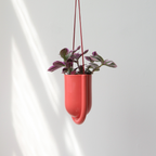 Red hanging planter with a plant on a white background