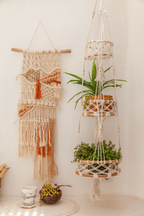 Macrame wall hanging and plant holders on a white wall