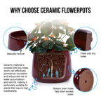 Ceramic flowerpot with text explaining its benefits