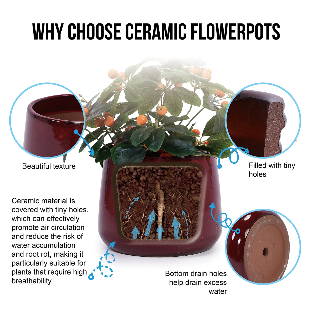 Ceramic flowerpot with text explaining its benefits