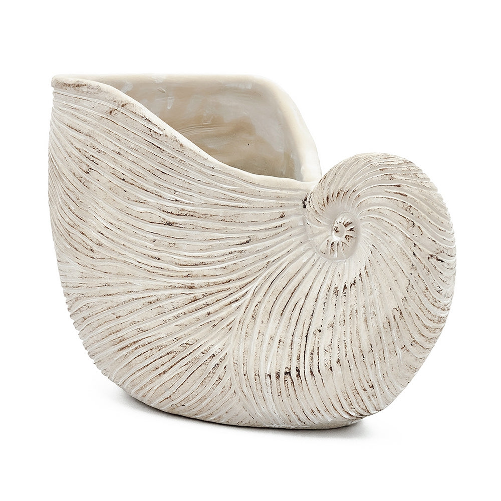 White ceramic shell-shaped planter on a white background