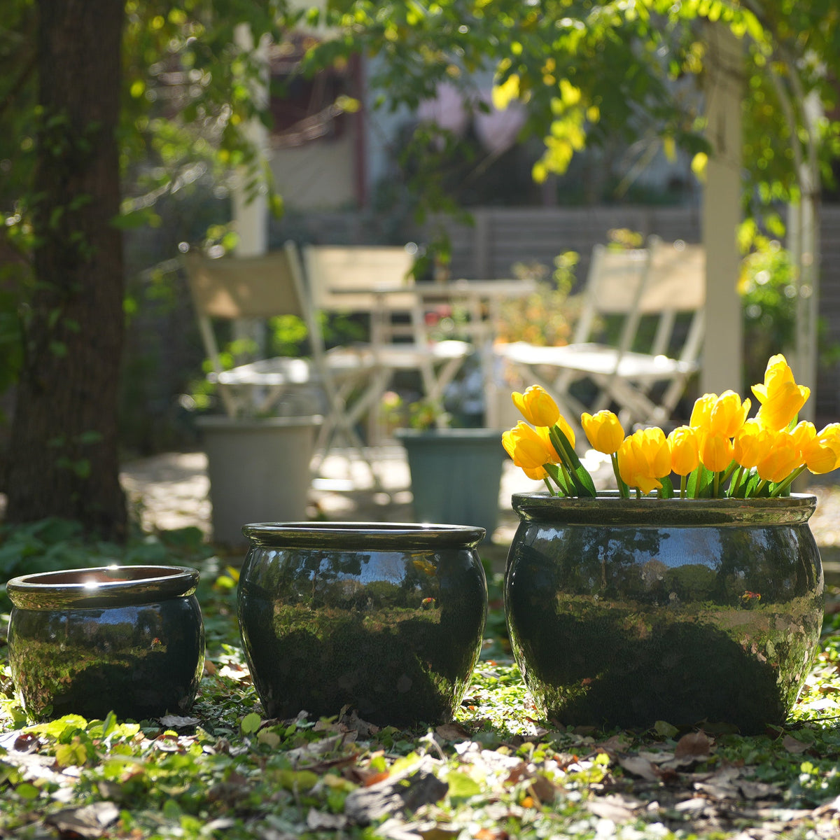 Three dark green glossy ceramic planters of graduated sizes arranged on a grassy ground outdoors, with bright yellow tulips in the largest pot and a blurred garden patio scene in the background.
