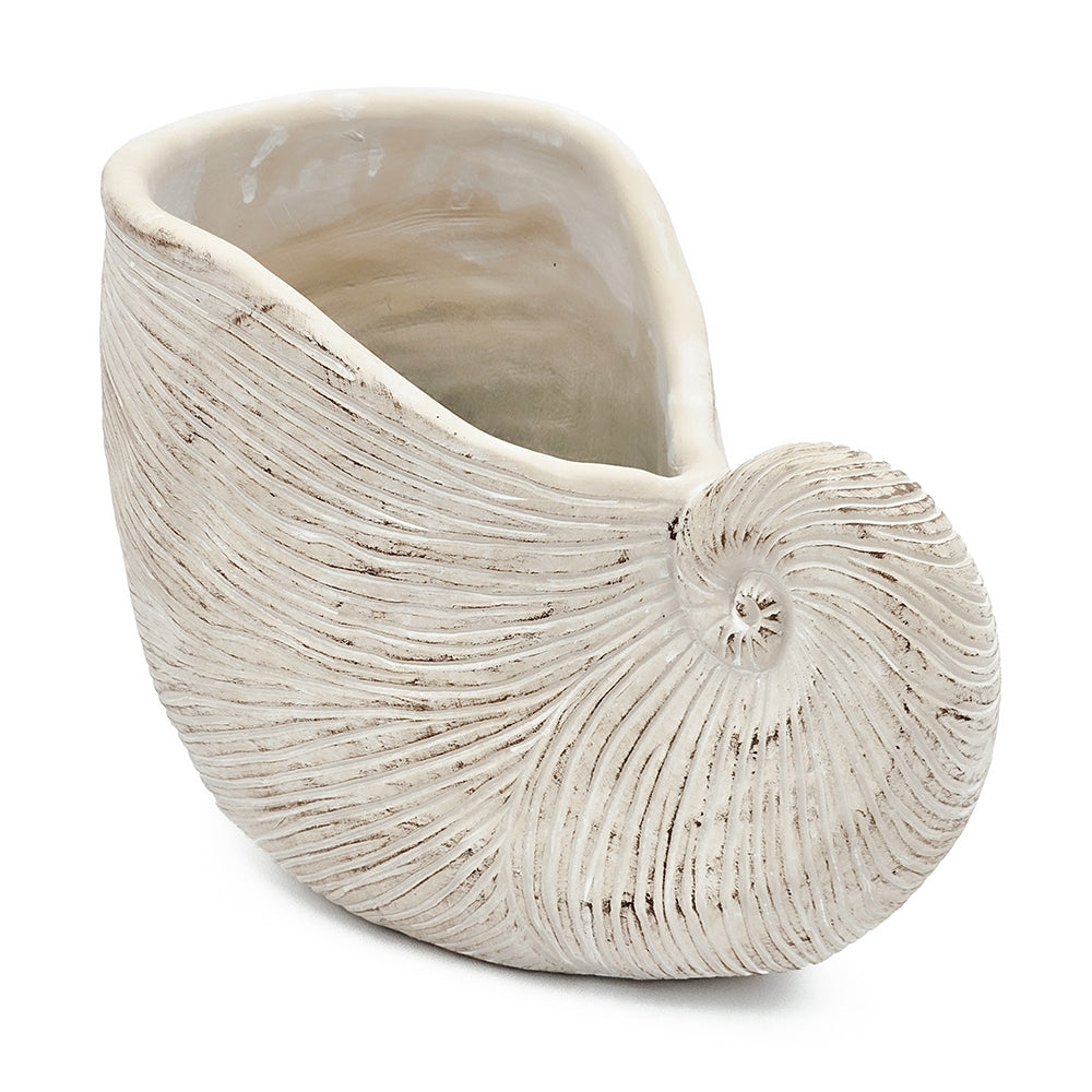 A ceramic planter shaped like a nautilus shell, featuring a textured, ribbed exterior and a glossy, warm off-white interior, set against a plain white background.