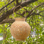 Decorative lantern hanging from a tree branch with green leaves in the background