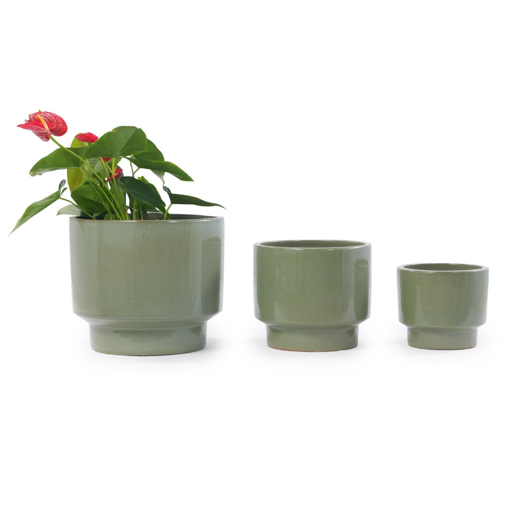 Three matte sage green ceramic planters in graduated sizes, with the largest pot on the left holding a red anthurium plant, set against a plain white background.