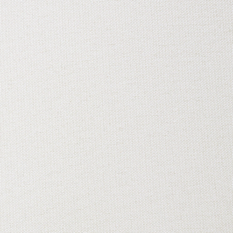 Solid light gray color swatch