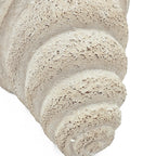 Close-up of a textured vase on a white background