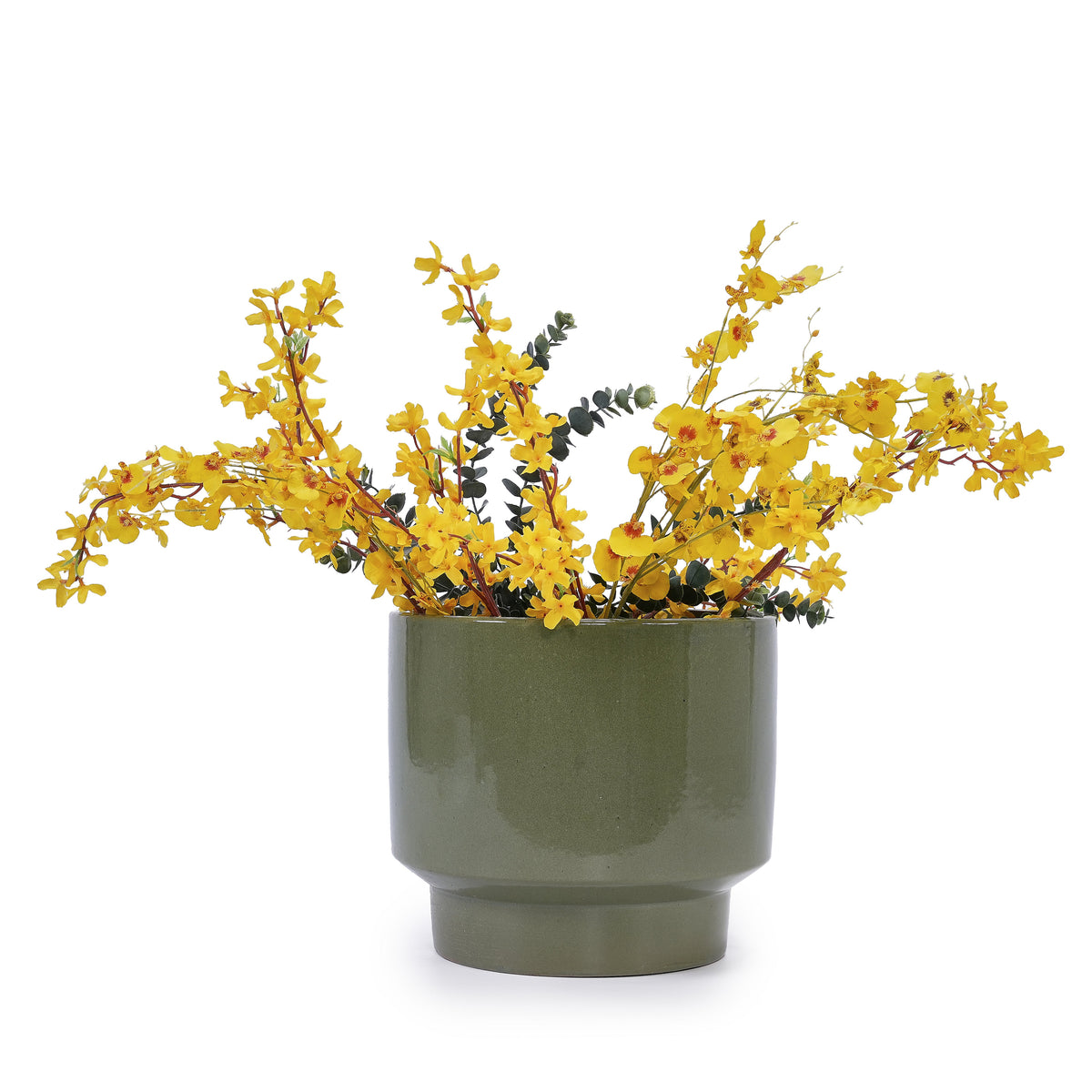 Green planter with yellow flowers on a white background