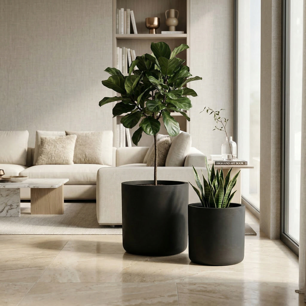 Modern living room with a white sofa, bookshelf, and two potted plants.