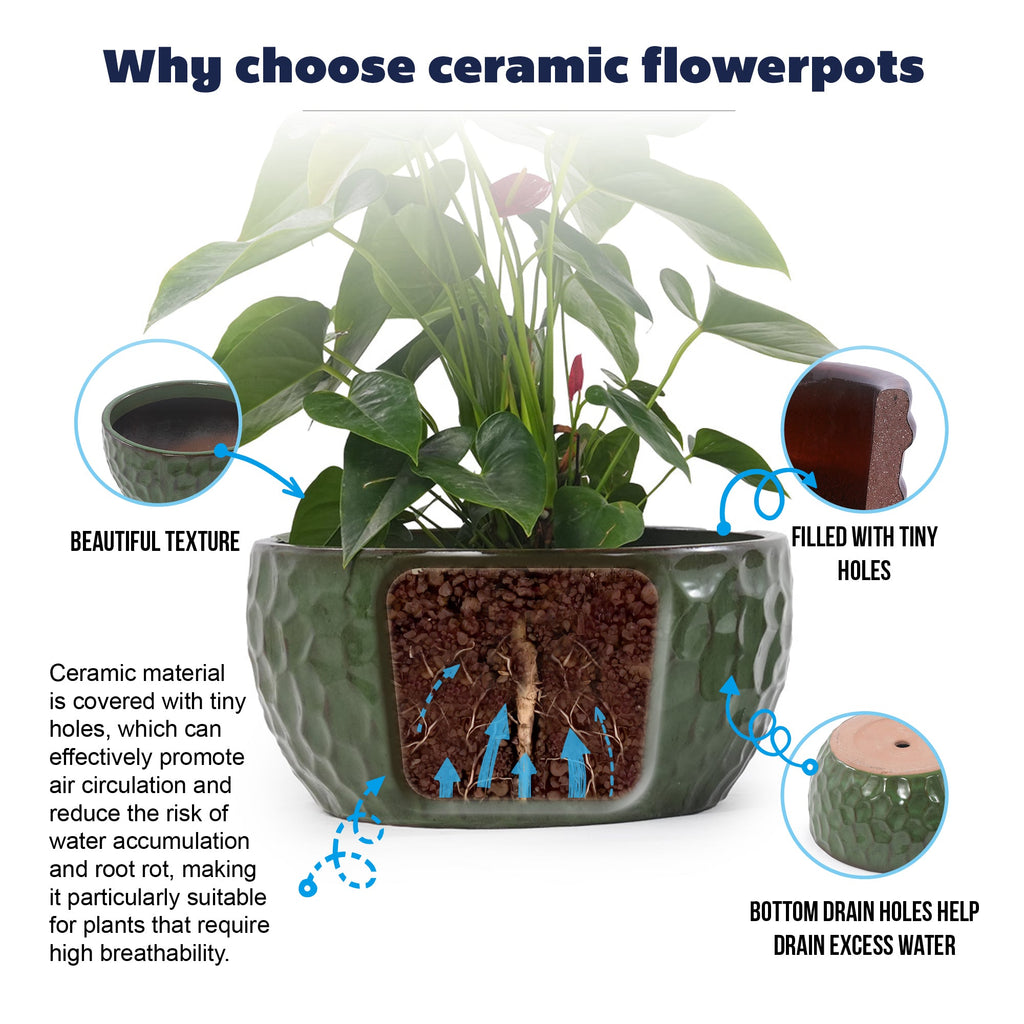 An infographic explaining the benefits of ceramic flowerpots, featuring a green textured ceramic pot with a cross-section cutout showing soil and air circulation, plus three circular callouts highlighting the pot's texture, tiny drainage holes, and bottom drain holes.