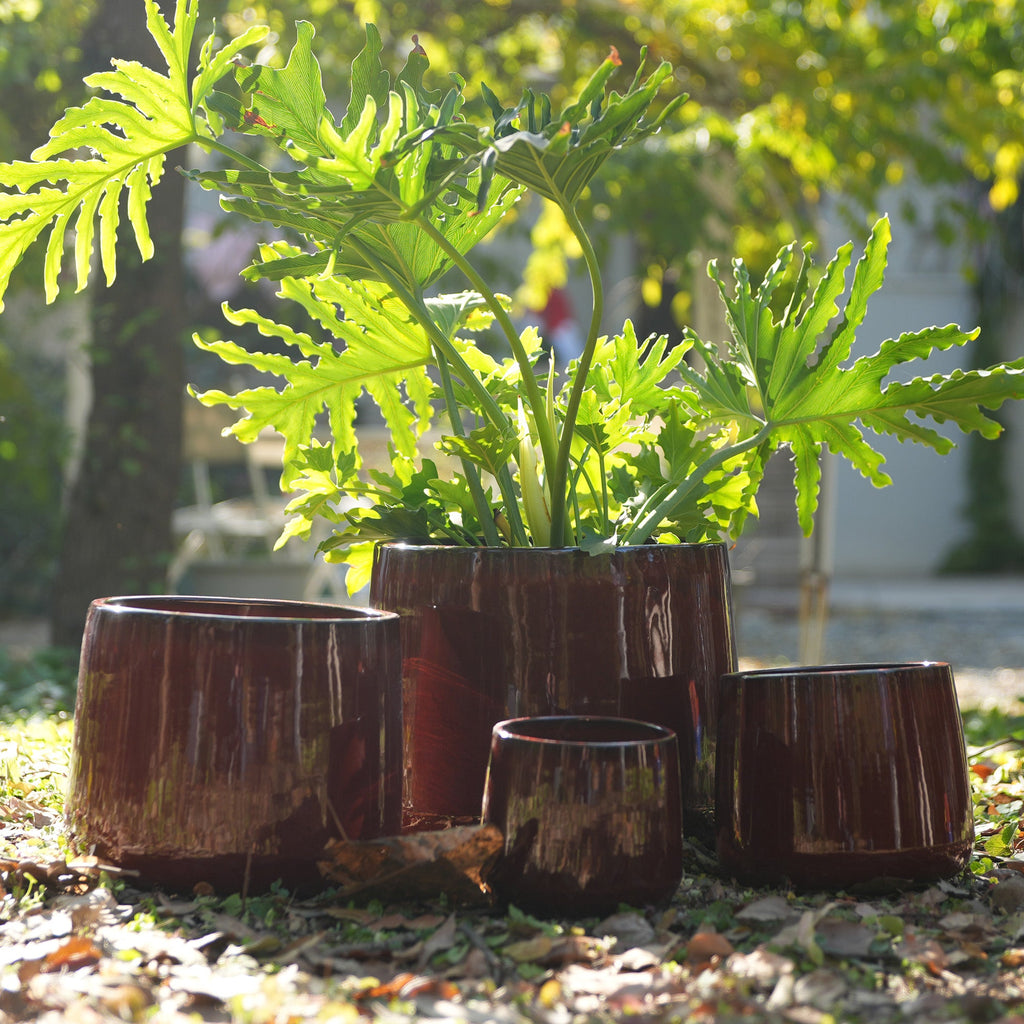 Set of four brown planters with green leafy plants in a garden setting