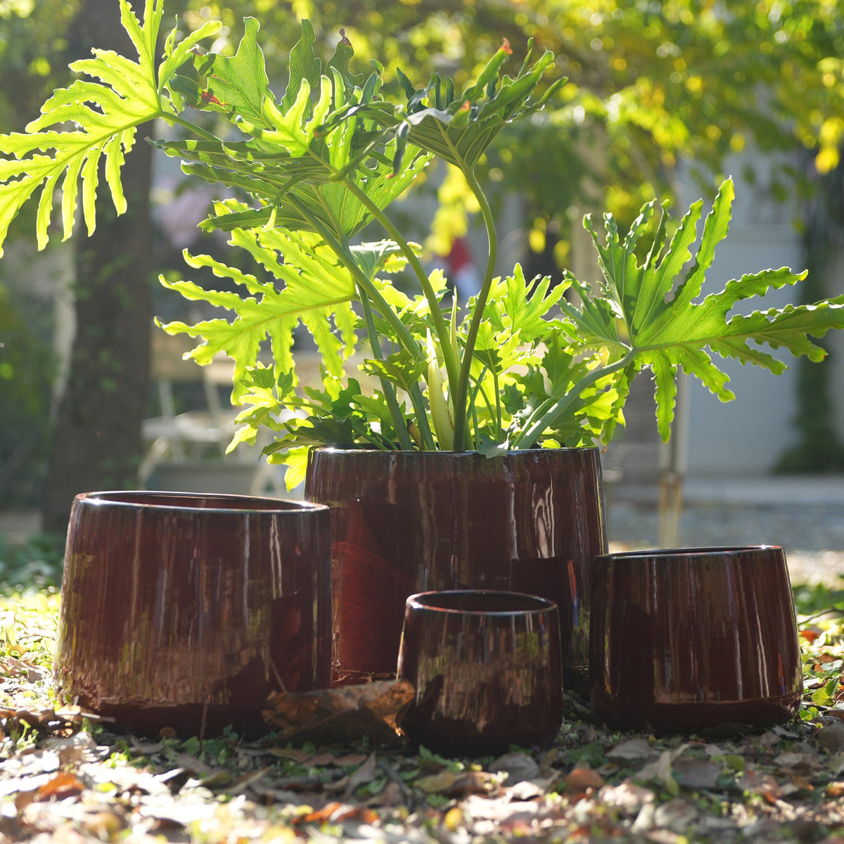 Set of four brown planters with green leafy plants in a garden setting