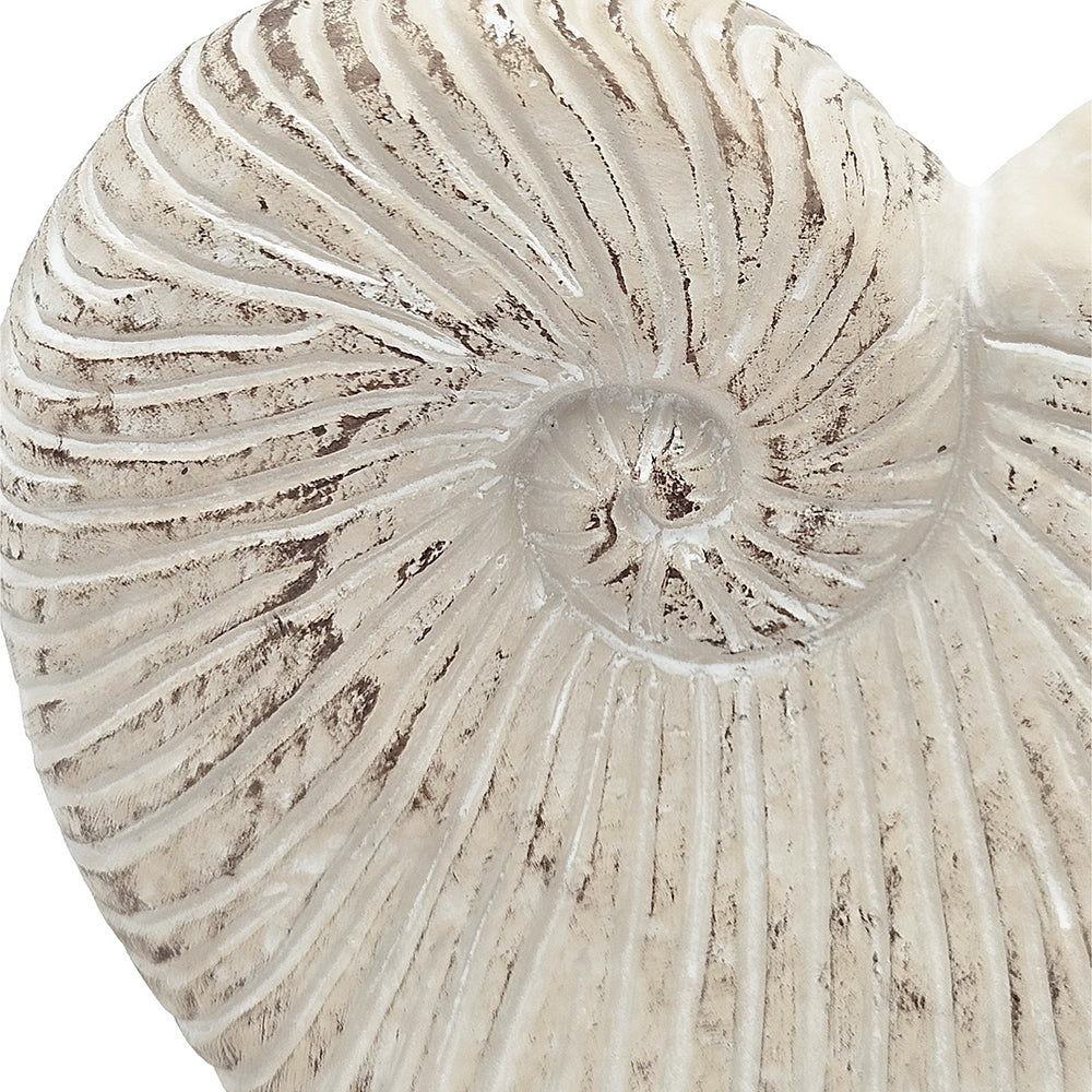 Close-up of a white ammonite fossil shaped vase with concentric circular patterns.