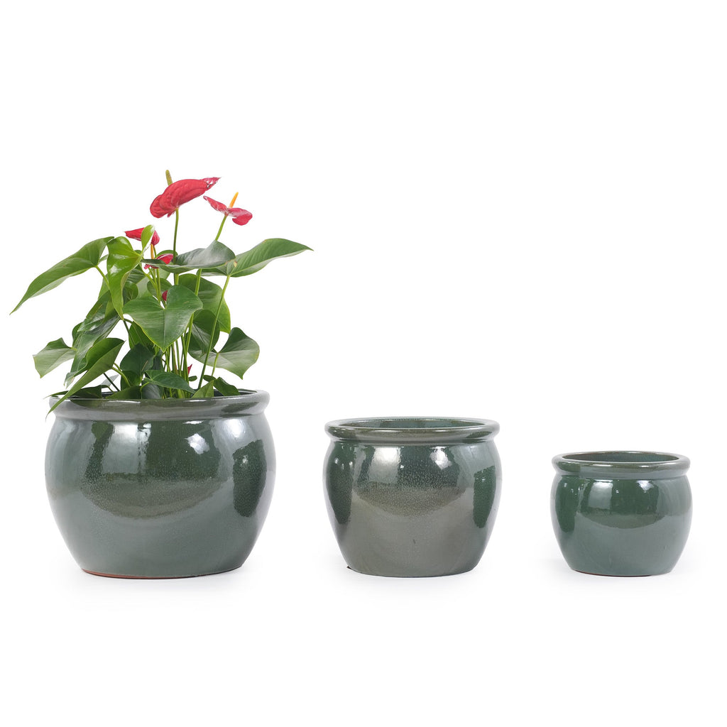 Three dark green glazed ceramic planters in different sizes, with the largest one on the left holding a green plant with red flowers, set against a plain white background.