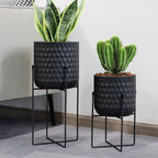 Two black textured planters with a snake plant and a cactus on a light gray floor.