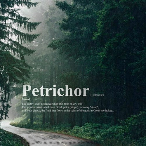 Petrichor - /ˈpetrīˌkôr/ - The Smell of Rain - Room and Linen Spray