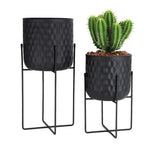 Two black textured planters with stands, one containing a cactus, on a white background.