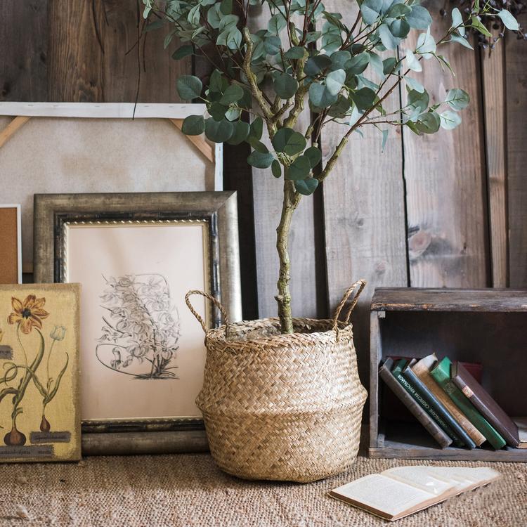Potted plant in a woven basket on a wooden floor with framed artwork and books in the background.