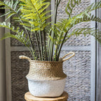 Fern plant in a woven basket on a wooden stool with a textured wall background