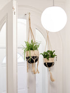 Two hanging planters with green plants against a white wall.