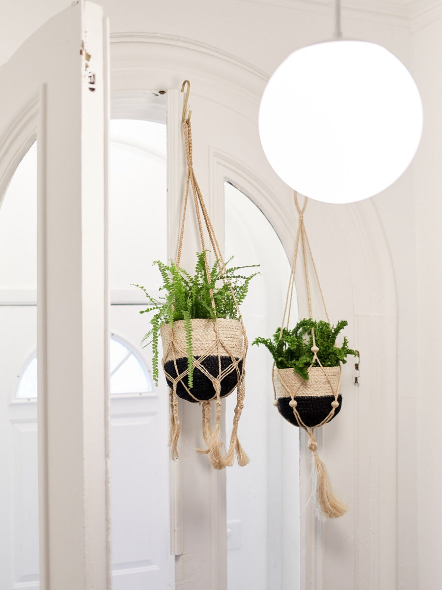 Two hanging planters with green plants against a white wall.