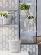 Hanging planters with geometric wallpaper and a mirror in the background