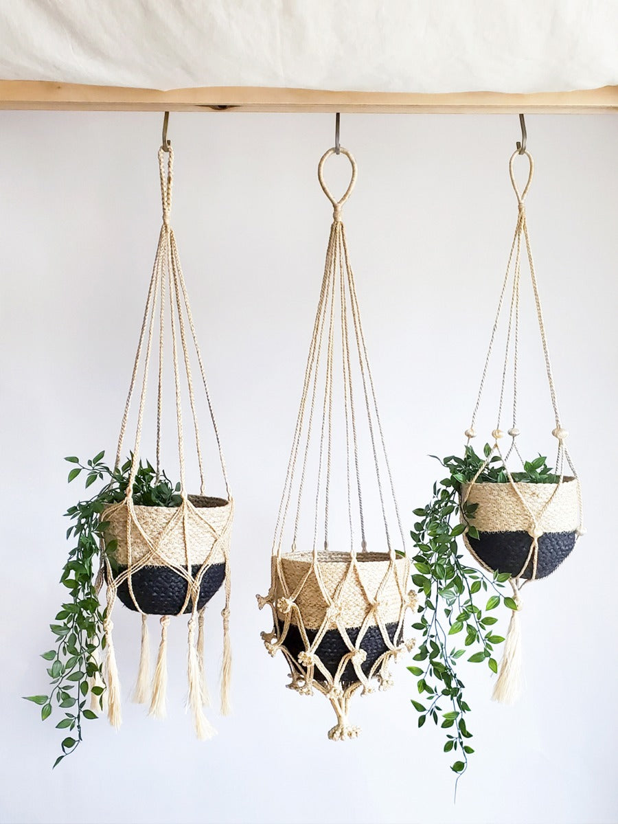 Three macrame plant hangers with plants against a white background