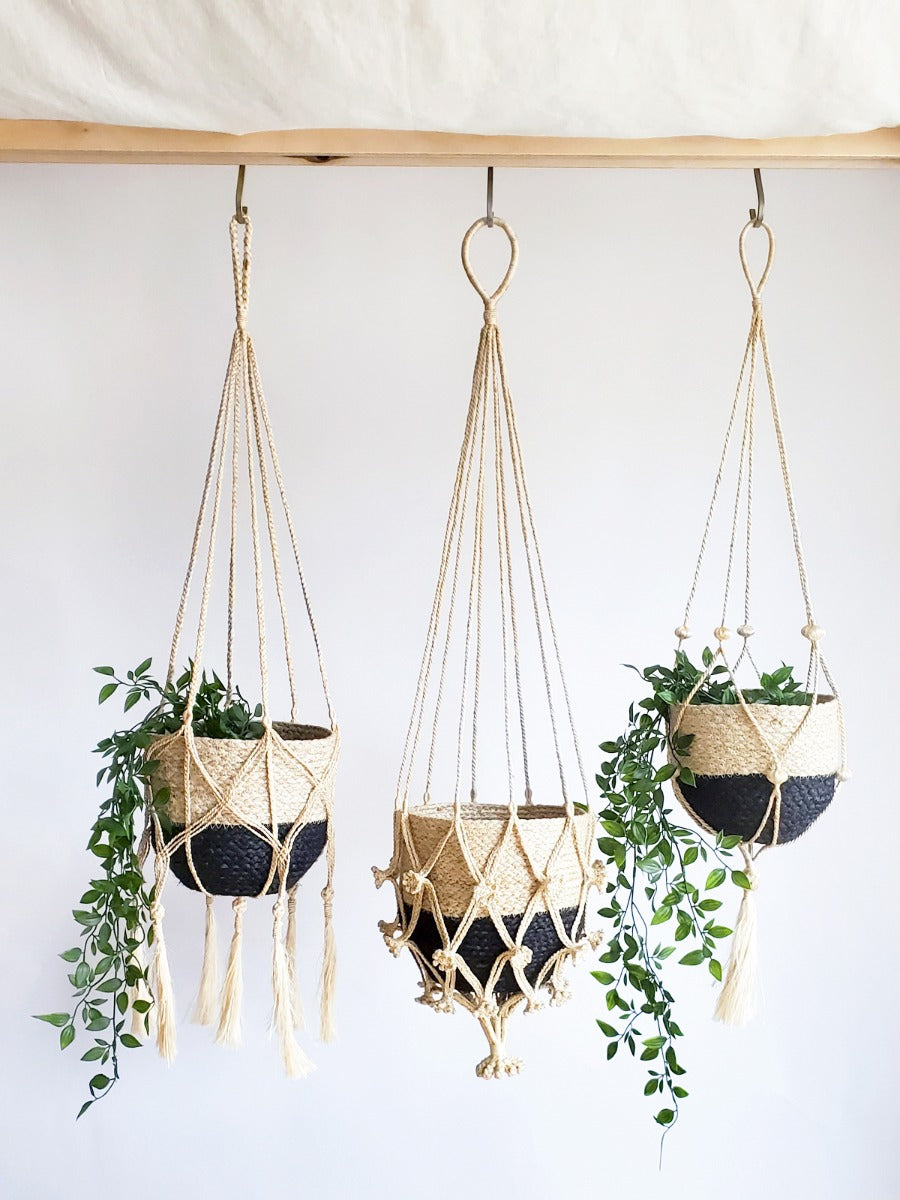 Three macrame plant hangers with plants against a white background