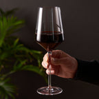 Lot de 2 verres à pied en cristal biseautés Raye